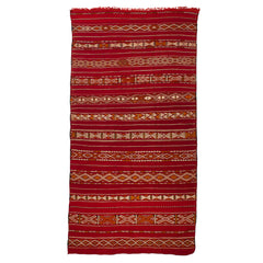 5' x 9'5" Moroccan Zemour Kilim