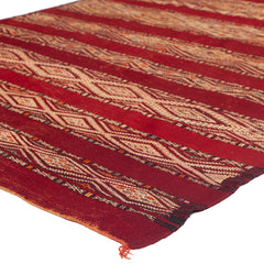 4'11" x 9'7" Moroccan Zemour Kilim