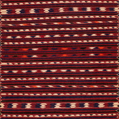 Turkmen Kilim (3.9 x 6.3)ft