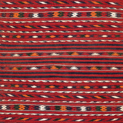 Turkmen Kilim (3.9 x 6.2)ft