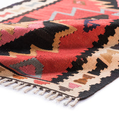 Ardebil Kilim (3.1 x 5.7)ft
