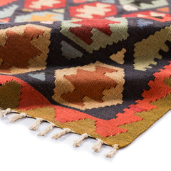 Ardebil Kilim (2.9 x 5.4)ft