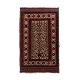Golbarjasta Kilim (4.9 x 7.9)ft