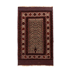 Golbarjasta Kilim (4.9 x 7.9)ft