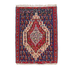 Senneh Kilim (3.4 x 4.7)ft