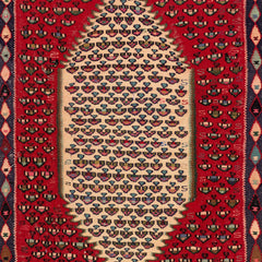 Senneh Kilim (3.4 x 4.6)ft