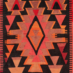 Ardebil Kilim (4.3 x 10.5)ft