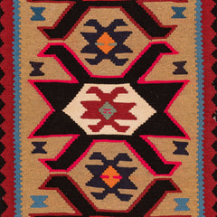 Ardebil Kilim (3.1 x 5.8)ft