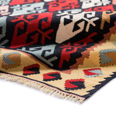 Ardebil Kilim (3.4 x 5.7)ft