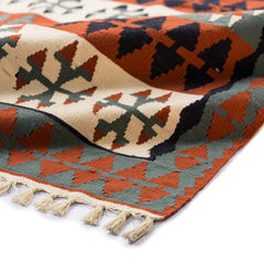 Ardebil Kilim (3.3 x 5.8)ft
