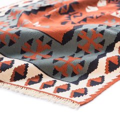 Ardebil Kilim (3.2 x 5.5)ft