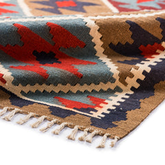 Ardebil Kilim (3.1 x 5.4)ft