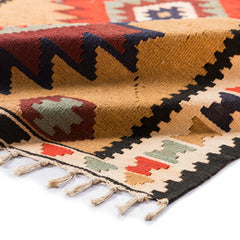 Ardebil Kilim (3.4 x 5.5)ft