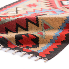 Ardebil Kilim (2.9 x 5.2)ft