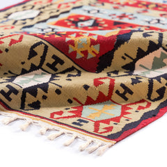 Ardebil Kilim (3.4 x 5.6)ft