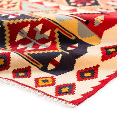 Ardebil Kilim (3.4 x 5.2)ft