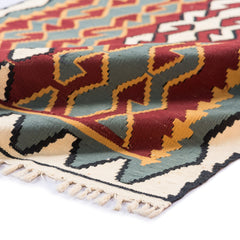 Ardebil Kilim (3.4 x 5.4)ft