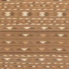 Turkmen Kilim (3.4 x 5.7)ft