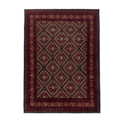Afghan Bakhtiari (8 x 11.2)ft