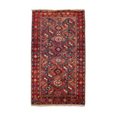 Afghan Bakhtiari (5.5 x 9.4)ft