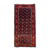 Afghan Bakhtiari (5.1 x 9.9)ft