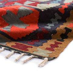 Ardebil Kilim (2.9 x 5.4)ft