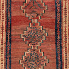 Ardebil Kilim (4.1 x 8.2)ft