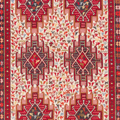 Soumak Kilim (3.4 x 4.7)ft