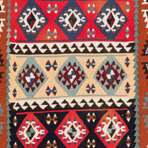 Ardebil Kilim (3.4 x 6.1)ft