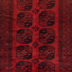 Afghan Bashiri (7.8 x 10.1)ft