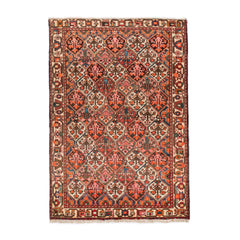 Afghan Bakhtiari (6.5 x 9.5)ft
