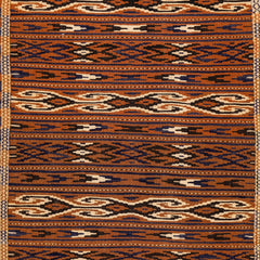 Turkmen Kilim (3.3 x 5.9)ft