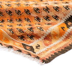 Ardebil Kilim (3.4 x 6.9)ft
