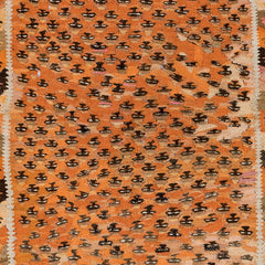 Ardebil Kilim (3.4 x 6.9)ft