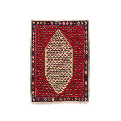 Senneh Kilim (3.4 x 4.6)ft