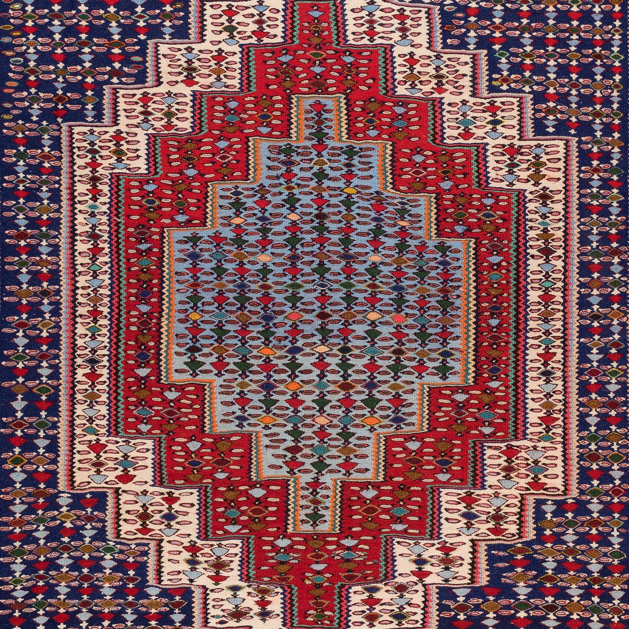 Senneh Kilim (6.2 x 9.4)ft