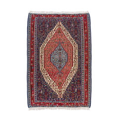 Senneh Kilim (6.6 x 9.5)ft