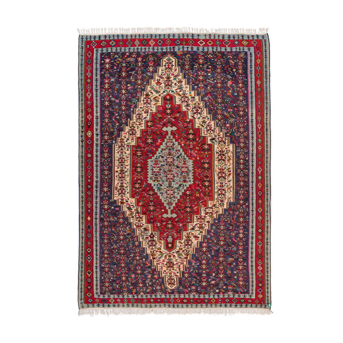 Senneh Kilim (6.6 x 9.3)ft
