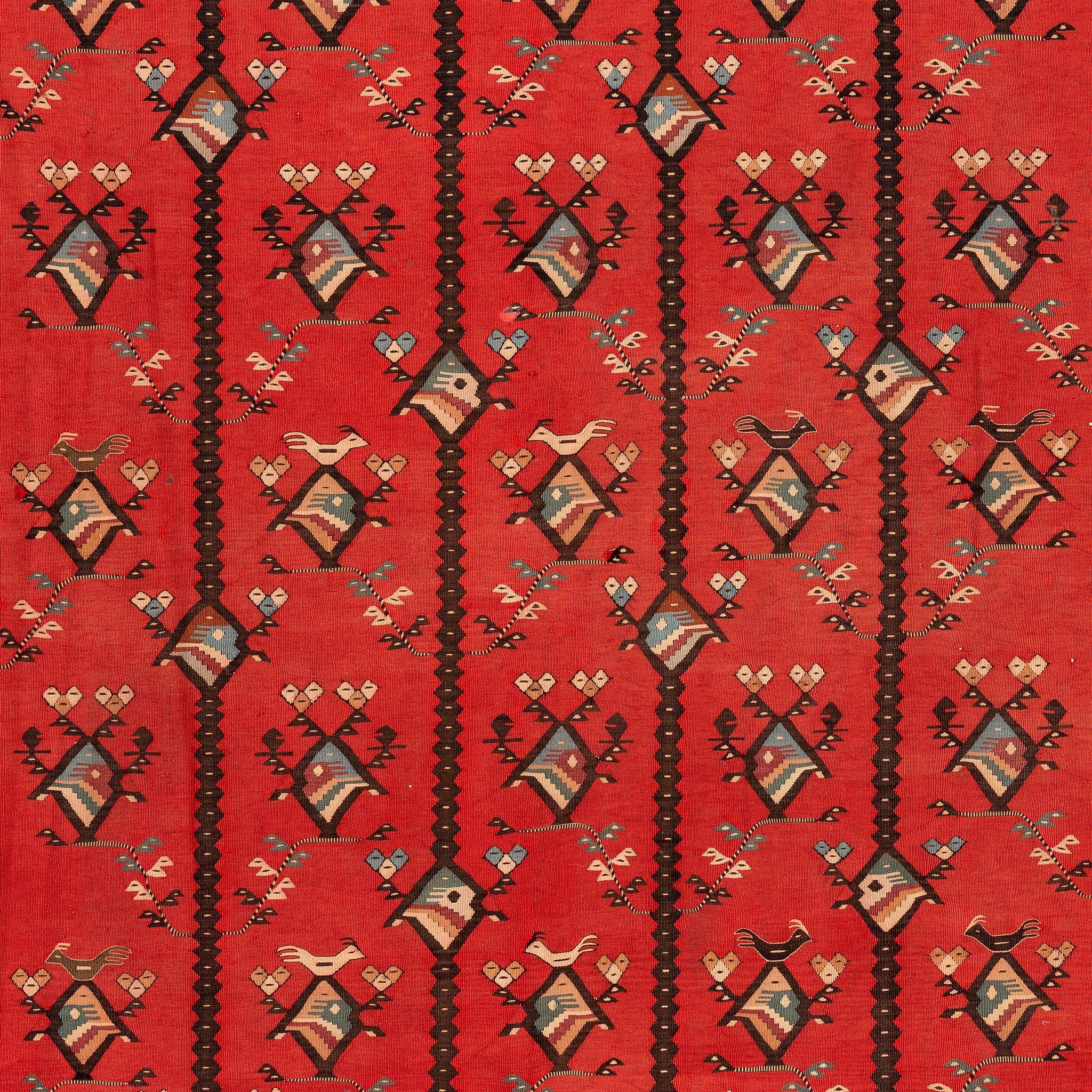 Sharkoy Kilim (6.7 x 10.2)ft