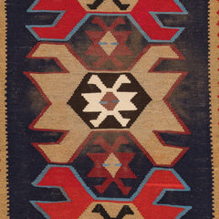 Ardebil Kilim (3.3 x 4.9)ft