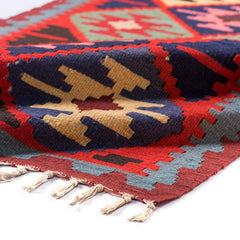 Ardebil Kilim (3 x 4.9)ft