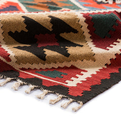 Ardebil Kilim (3.1 x 4.9)ft