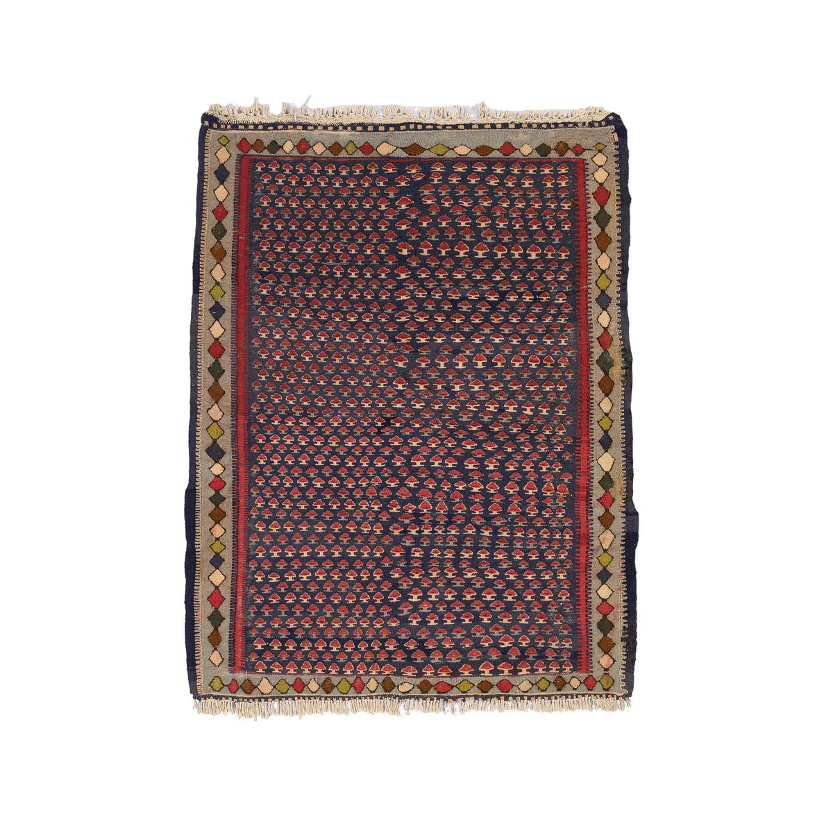 Senneh Kilim (3.5 x 4.5)ft