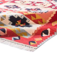 Ardebil Kilim (3.4 x 5.7)ft