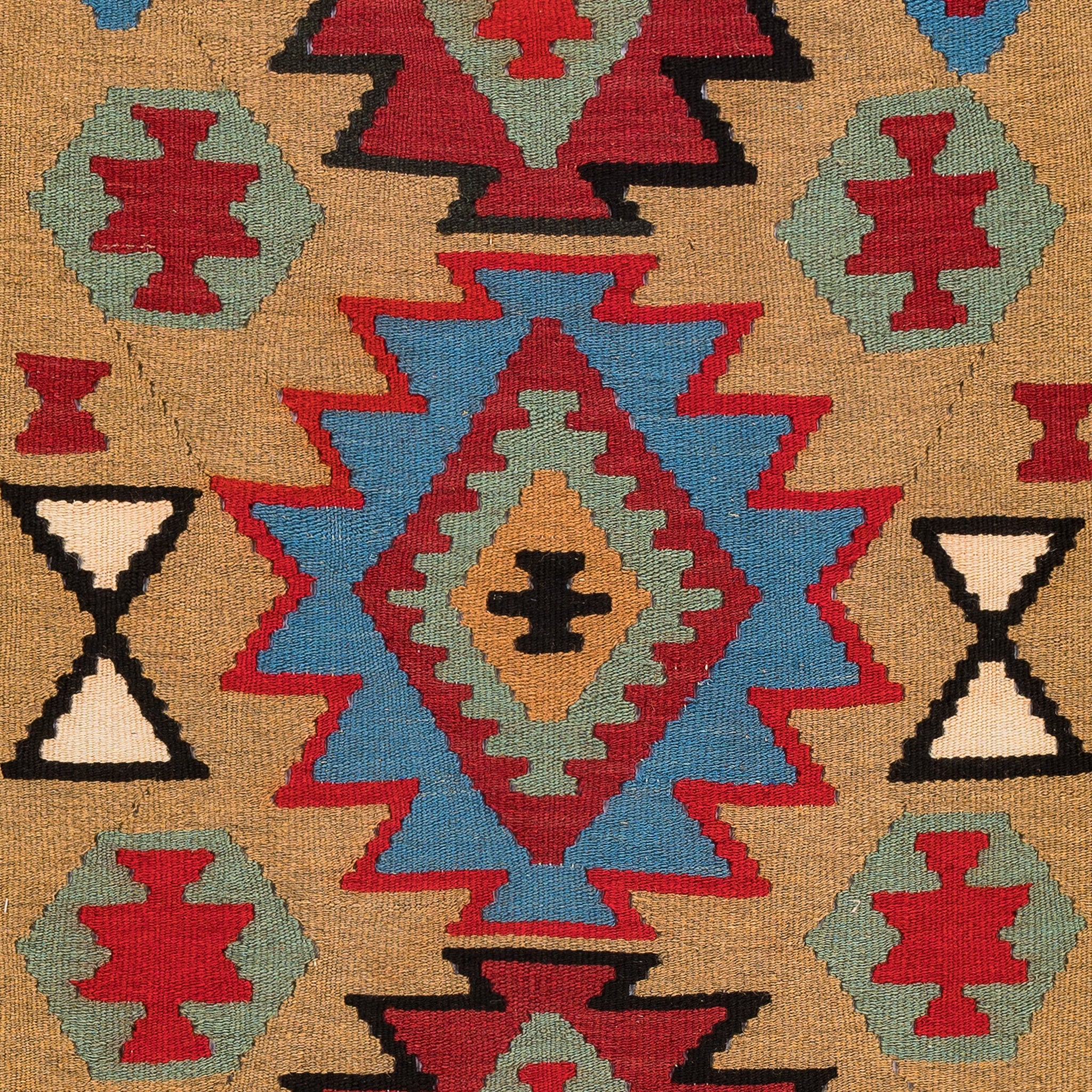 Ardebil Kilim (2.9 x 5.2)ft