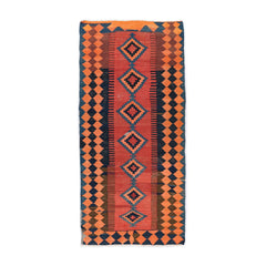 Ardebil Kilim (4.6 x 9.7)ft