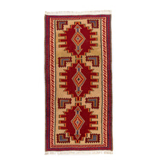Ardebil Kilim (5 x 9.8)ft