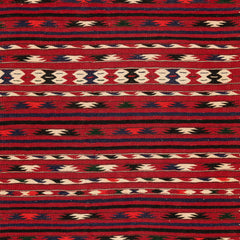 Turkmen Kilim (3.5 x 6.6)ft