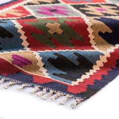 Ardebil Kilim (3.2 x 5.2)ft