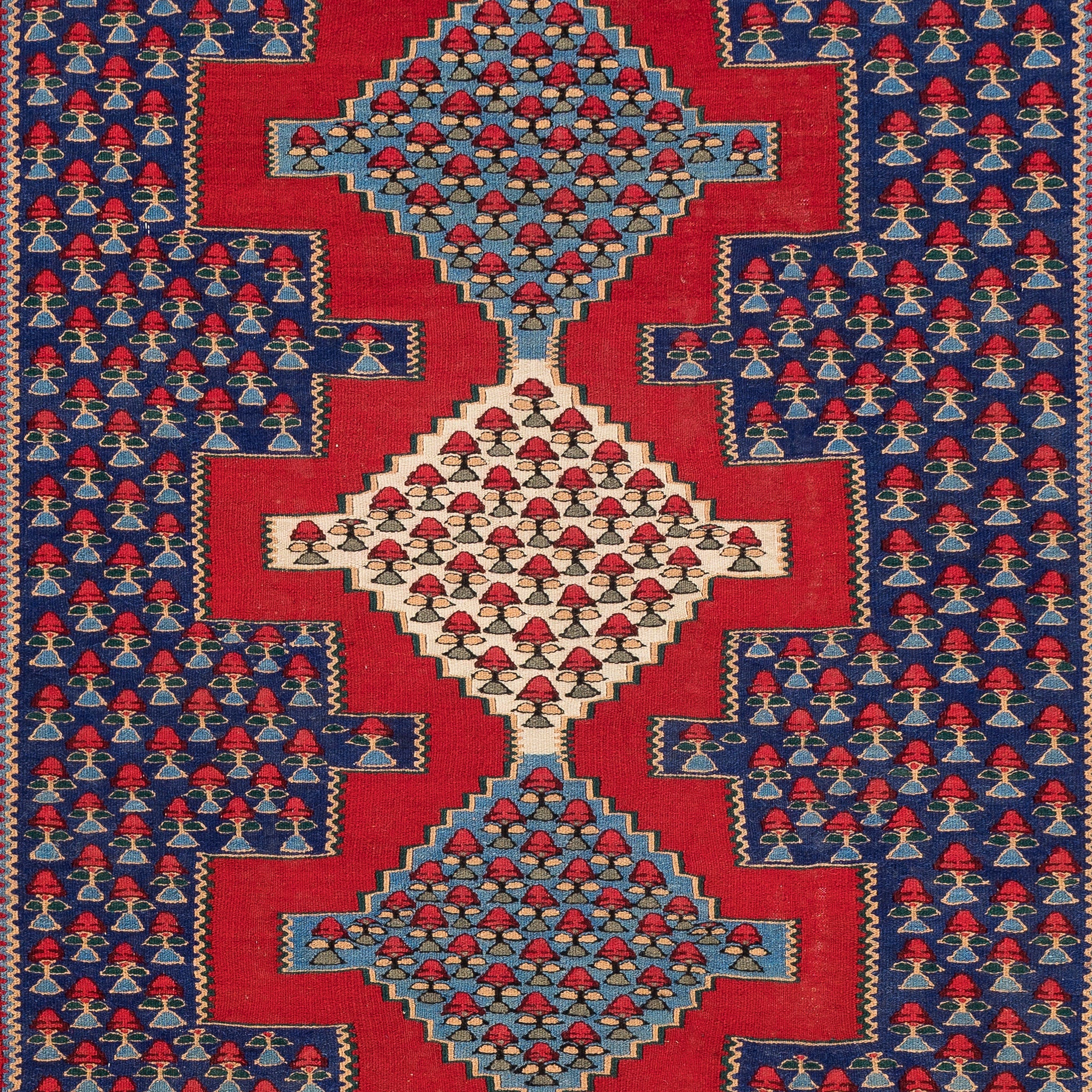 Senneh Kilim (4.2 x 4.8)ft